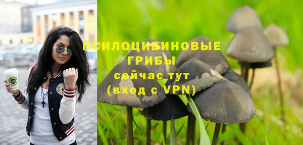трава Краснотурьинск