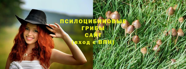трава Краснотурьинск