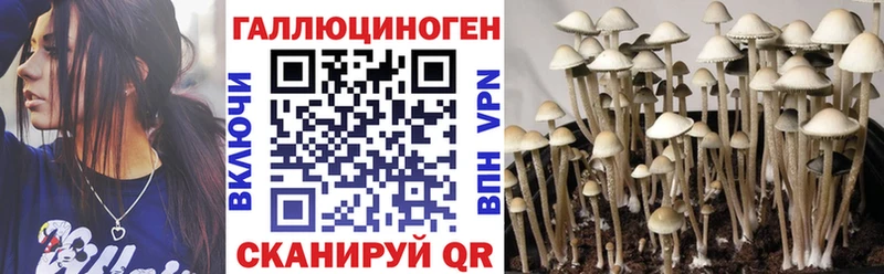 Галлюциногенные грибы Psilocybe  Купить закладки  Верхнеуральск 
